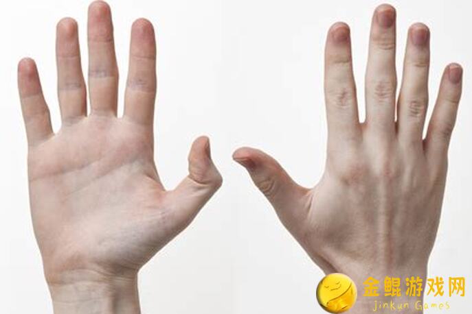 手残党也能秒懂！桃源深处有人家桃源花圃黄金攻略背后解析