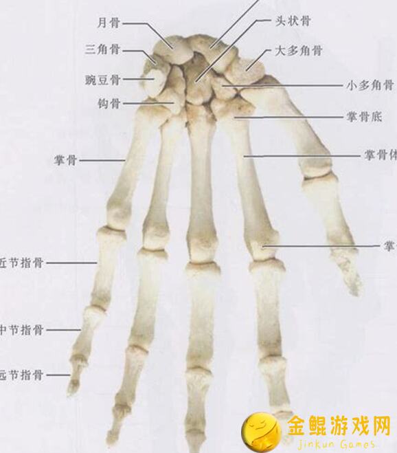 手把手教你发现元能失控隐藏武器效果，0氪党也能轻松解锁最强战斗力！