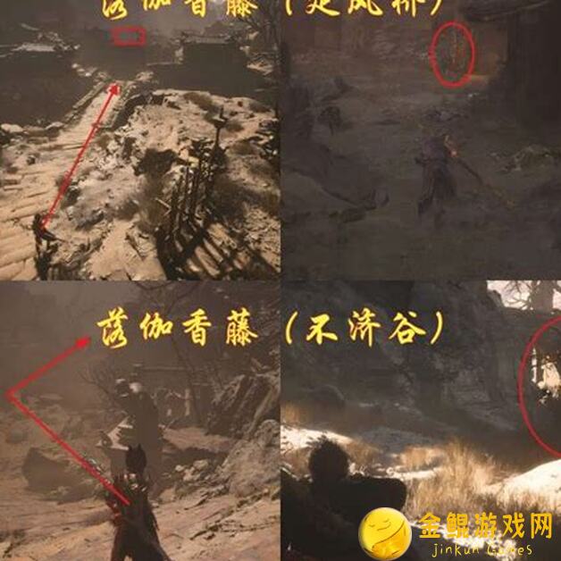 黑神话：悟空-黑神话悟空第二回落伽香藤位置及第二章落伽香藤详解