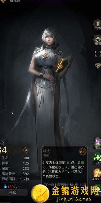 地下城堡3魂之诗少女凯拉统招攻略，完美搭配教你不用奶也能稳上排名！