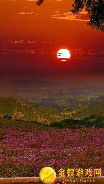 绝区零博物馆参观护照任务通关攻略，让你轻松秒懂通关秘诀！