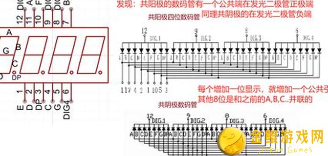 数码宝贝：新世纪错过血亏！奥迪双钻角色这样搭配最强势