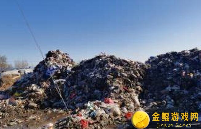 在污染区生存指南：避开搜寻木块的坑