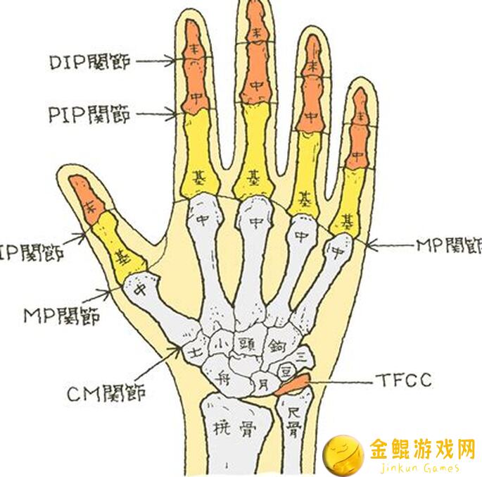 手残党福音！亲测地下城堡2:黑暗觉醒图42猎龙者优势速通指南，能不能轻松通关看这里！